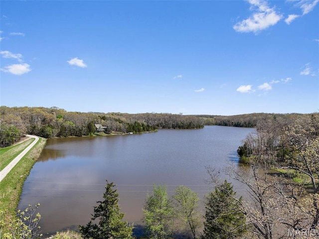 2200 Swiss Lake Rd, Hermann, MO 65041 - photo 4