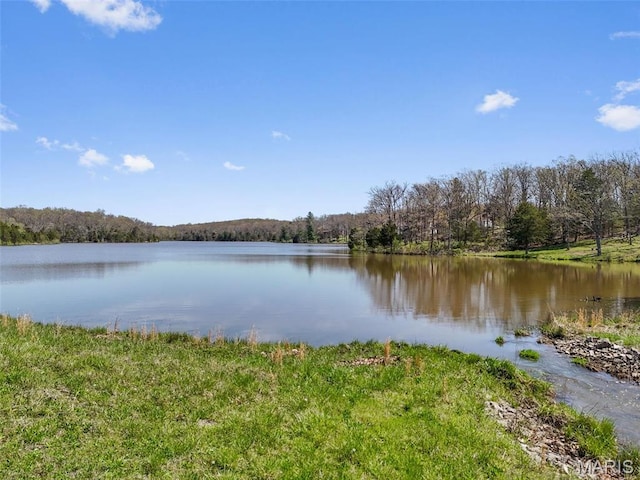 2200 Swiss Lake Rd, Hermann, MO 65041 - photo 31