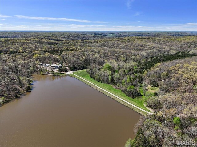 2200 Swiss Lake Rd, Hermann, MO 65041 - photo 16