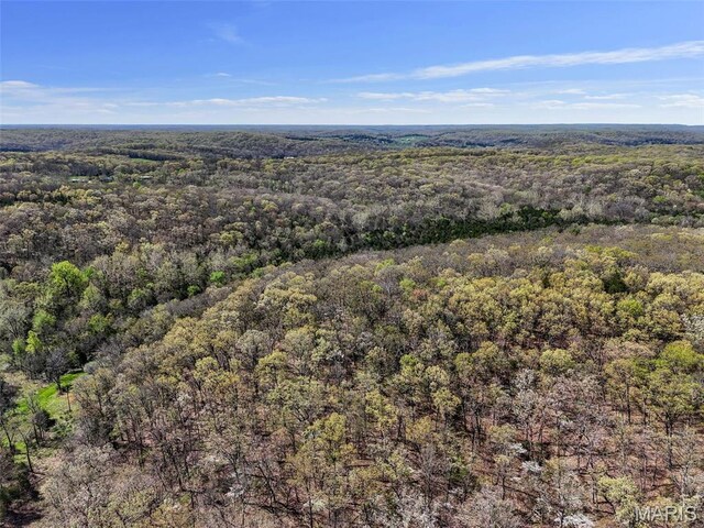 2200 Swiss Lake Rd, Hermann, MO 65041 - photo 19