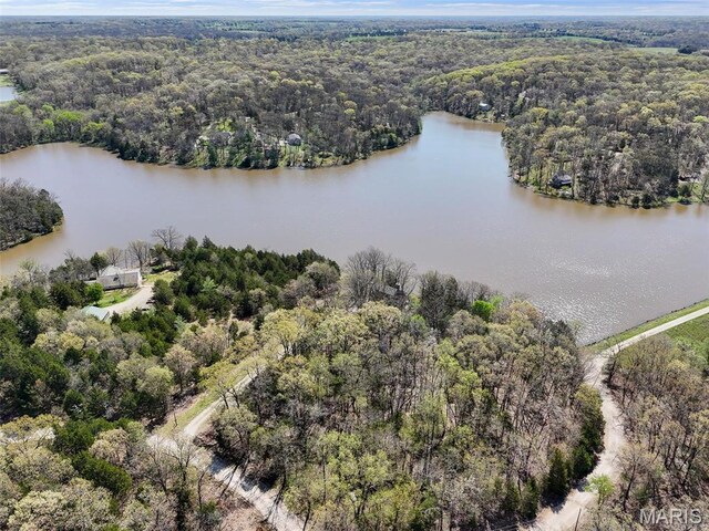 2200 Swiss Lake Rd, Hermann, MO 65041 - photo 20