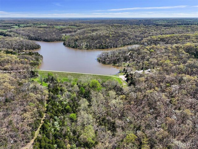 2200 Swiss Lake Rd, Hermann, MO 65041 - photo 22