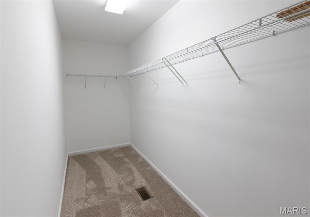1739 Naughton Way, Swansea, IL 62226 - spacious closet featuring carpet