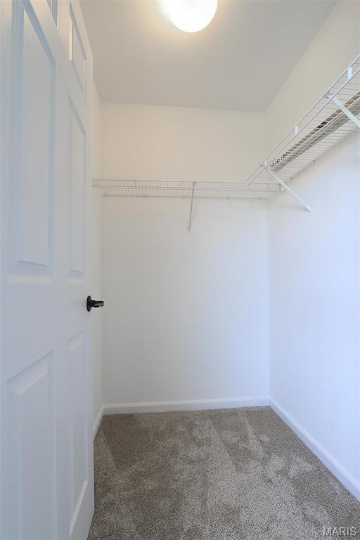 1739 Naughton Way, Swansea, IL 62226 - spacious closet featuring carpet floors