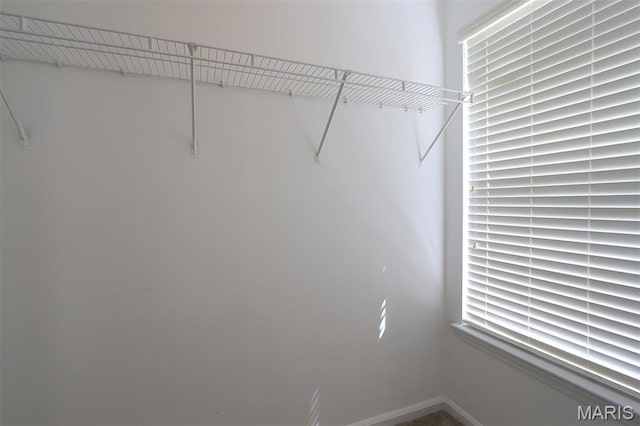 1739 Naughton Way, Swansea, IL 62226 - view of spacious closet