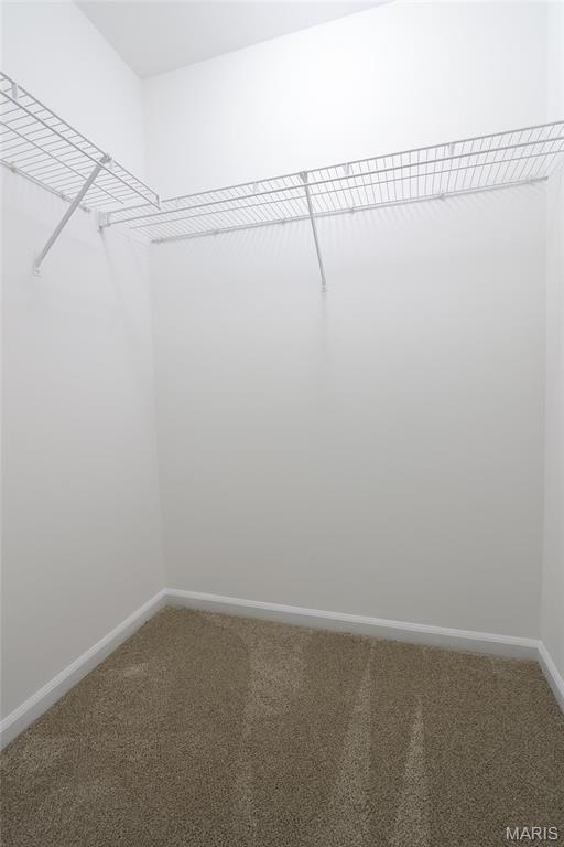 1739 Naughton Way, Swansea, IL 62226 - walk in closet featuring carpet floors