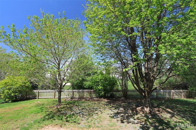 1739 Naughton Way, Swansea, IL 62226 - view of fenced backyard
