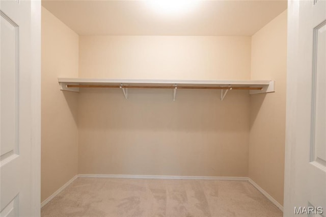 19252 Lambert Ln, Waynesville, MO 65583 - spacious closet with light carpet