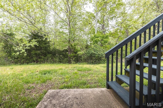 19252 Lambert Ln, Waynesville, MO 65583 - view of yard