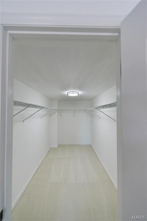 590 Sarah Ln Unit 303, Saint Louis, MO 63141 - spacious closet featuring light colored carpet