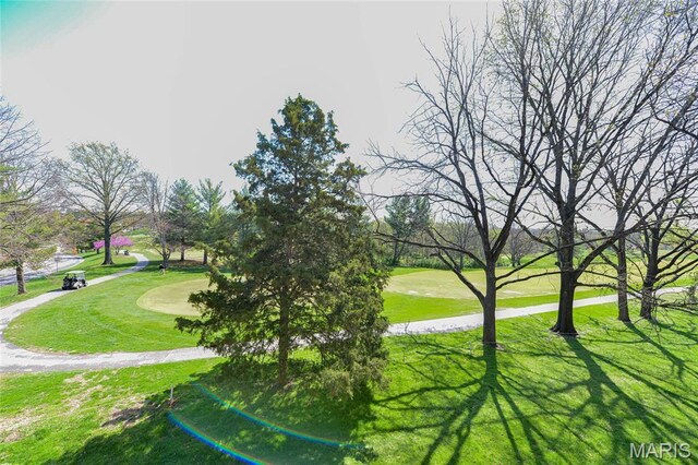 590 Sarah Ln Unit 303, Saint Louis, MO 63141 - view of property's community with a lawn
