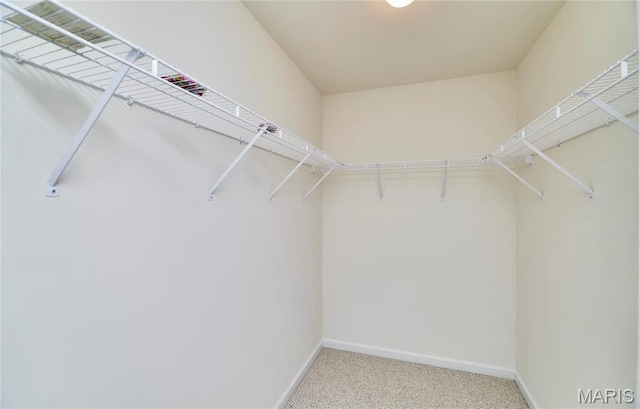 225 River Bluff Ct, Troy, MO 63379 - walk in closet with carpet floors