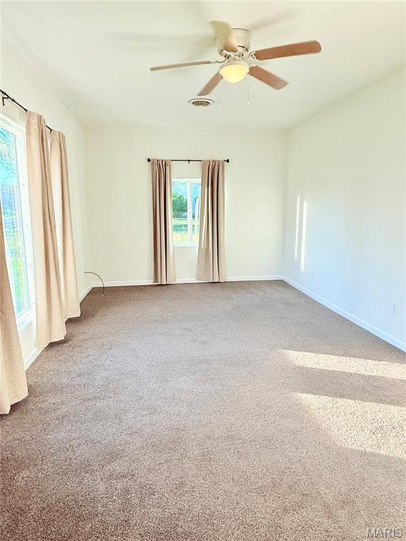 210 W Walnut St, Pilot Knob, MO 63663 - photo 28