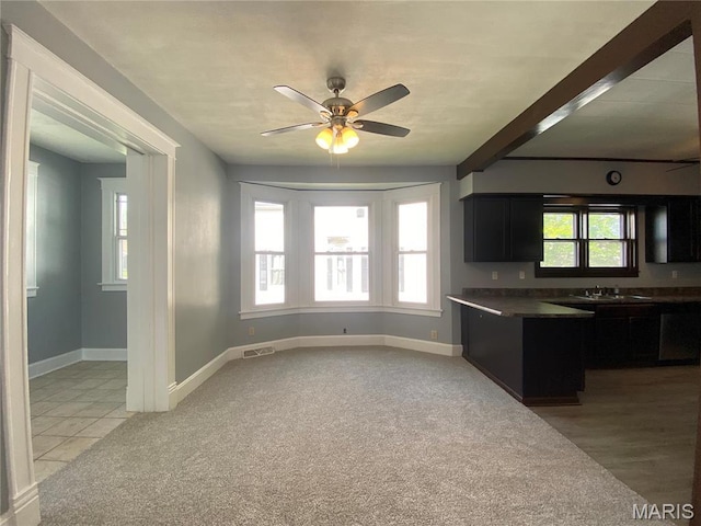 616 N Church St, Belleville, IL 62220 - kitchen featuring dark cabinets, baseboards, a ceiling fan, and light colored carpet
