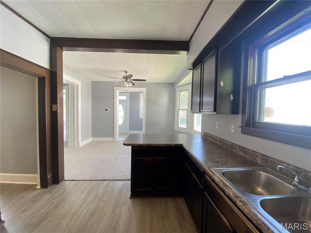 616 N Church St, Belleville, IL 62220 - kitchen featuring a sink, a peninsula, dark countertops, light wood-type flooring, and ceiling fan