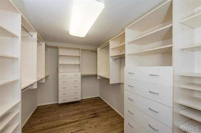 739 Muir View Dr, Ballwin, MO 63011 - walk in closet featuring dark wood-style flooring