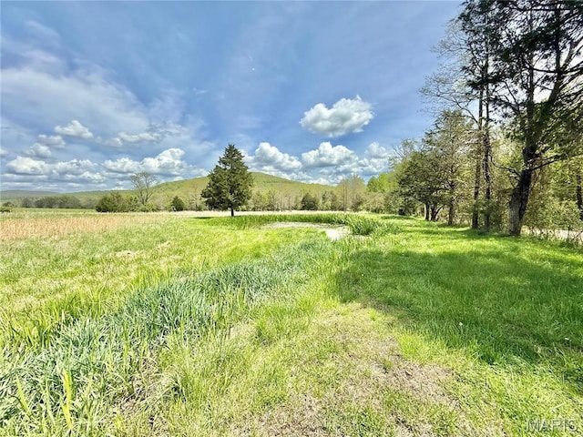 view of undeveloped land featuring rural landscape