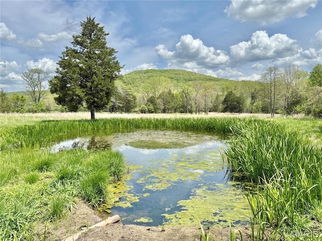 water view featuring a forest