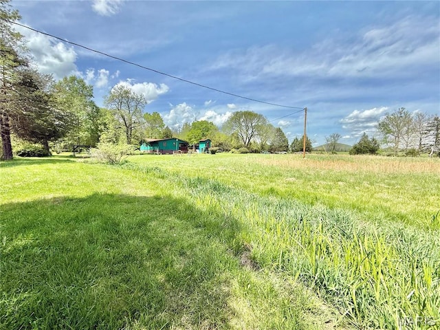 view of yard featuring a view of rural / pastoral area