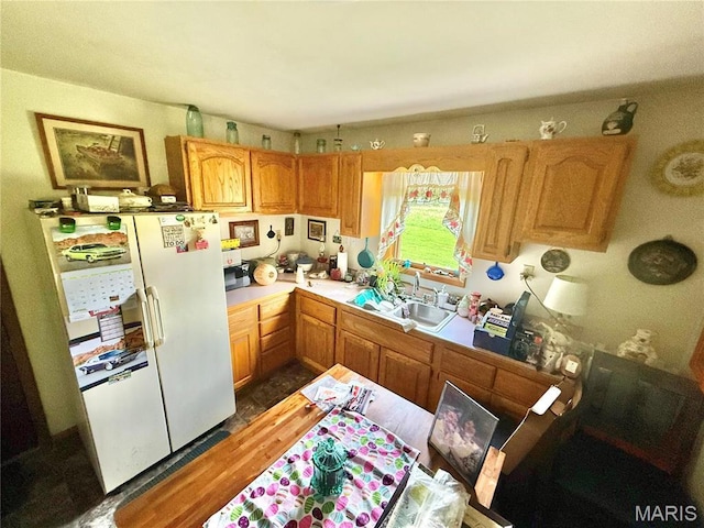 kitchen with freestanding refrigerator, light countertops, and a sink