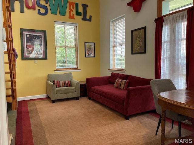 1014 Geyer Ave, Saint Louis, MO 63104 - photo 11