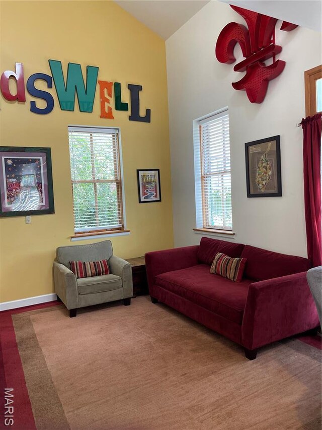 1014 Geyer Ave, Saint Louis, MO 63104 - photo 12