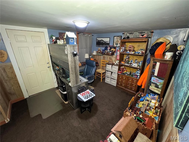 619 Frankford Rd, Louisiana, MO 63353 - view of storage area