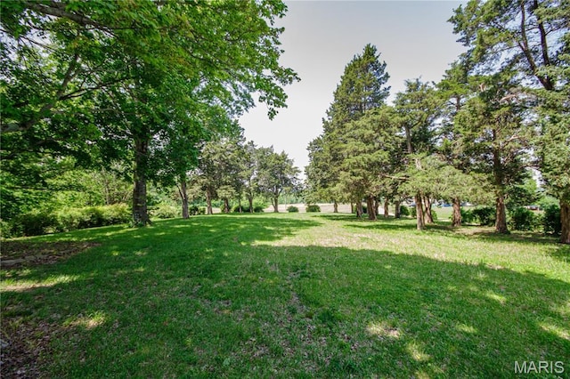 634 N 200th St, Vandalia, IL 62471 - view of grassy yard