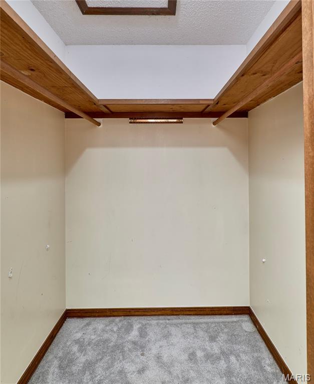 walk in closet featuring carpet floors