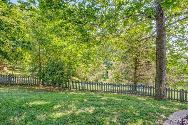 1577 Kehrs Mill Rd, Chesterfield, MO 63005 - view of yard