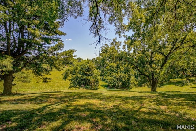 1577 Kehrs Mill Rd, Chesterfield, MO 63005 - view of nature