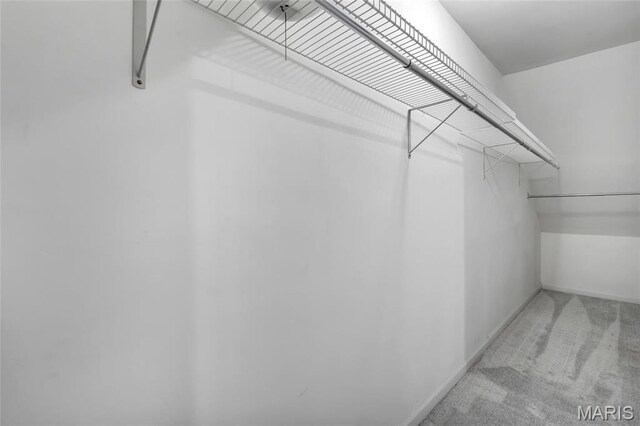 1211 Napoleon Dr, Bonne Terre, MO 63628 - walk in closet with light colored carpet
