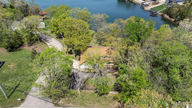1211 Napoleon Dr, Bonne Terre, MO 63628 - aerial view of a nearby body of water