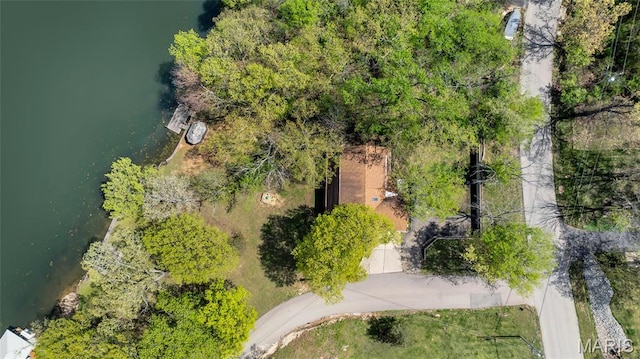 1211 Napoleon Dr, Bonne Terre, MO 63628 - bird's eye view of a large body of water