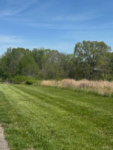 0 Sapphire Lake Ln, Cape Girardeau, MO 63701 - photo 4