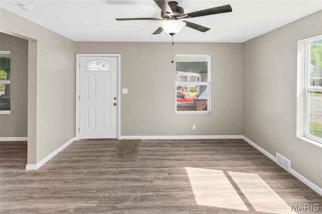 1129 E 7th St, Alton, IL 62002 - entrance foyer with healthy amount of natural light, a ceiling fan, baseboards, and wood finished floors