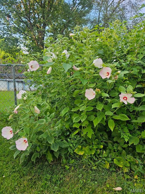 5407 Ville Rosa Ln, Hazelwood, MO 63042 - photo 23