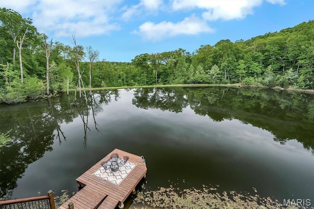 dock with a wooded view and a water view