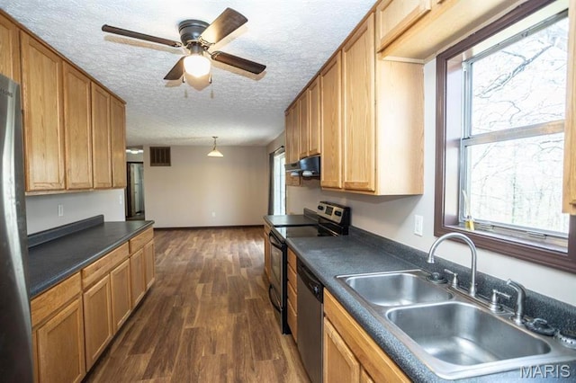15625 Talon Ln, Saint Robert, MO 65584 - kitchen with stainless steel appliances, a sink, dark countertops, dark wood-style flooring, and ceiling fan
