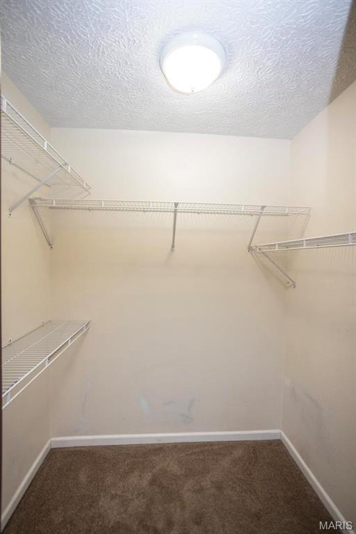 15625 Talon Ln, Saint Robert, MO 65584 - walk in closet featuring carpet floors