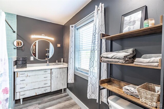 176 Carter 205, Van Buren, MO 63965 - bathroom with wood finished floors, healthy amount of natural light, vanity, and baseboards