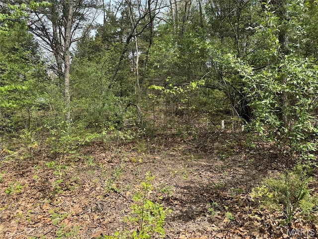 0 Maple Dr, Lonedell, MO 63060