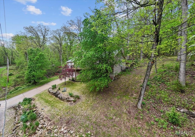 view of yard with concrete driveway and a wooden deck