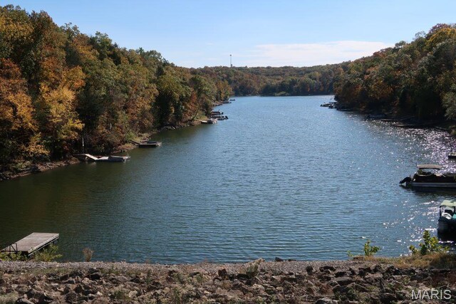 2025 Moat Ln Unit 1513, Marthasville, MO 63357 - water view featuring a heavily wooded area
