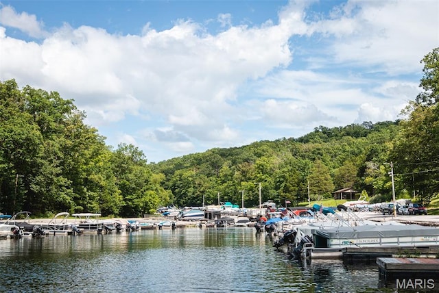 2025 Moat Ln Unit 1513, Marthasville, MO 63357 - dock with a view of trees and a water view