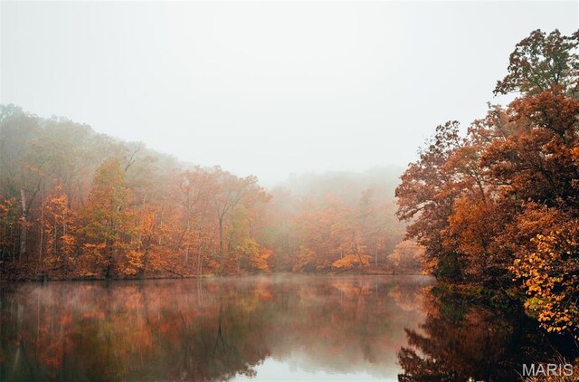 2025 Moat Ln Unit 1513, Marthasville, MO 63357 - water view with a forest