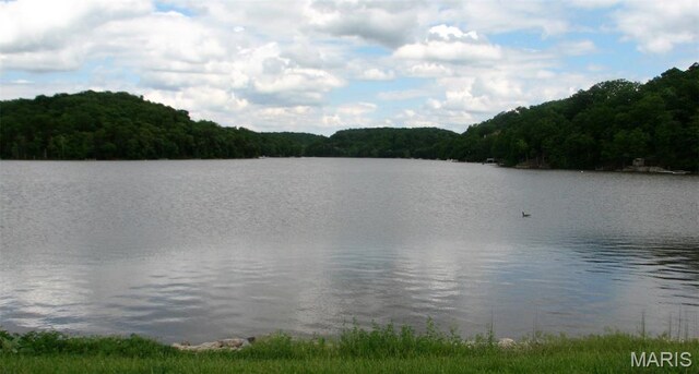 2025 Moat Ln Unit 1513, Marthasville, MO 63357 - water view with a heavily wooded area