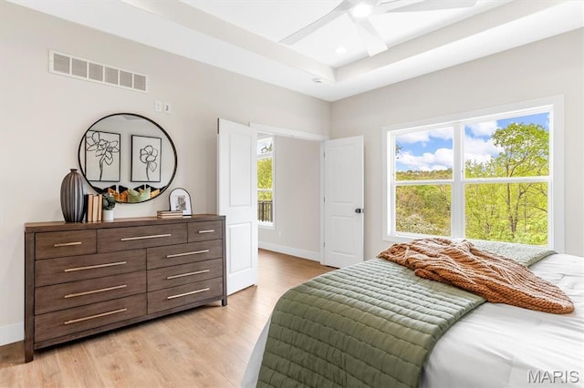 2217 Valleyview Dr, Barnhart, MO 63012 - bedroom with baseboards, a raised ceiling, light wood-style flooring, a skylight, and recessed lighting