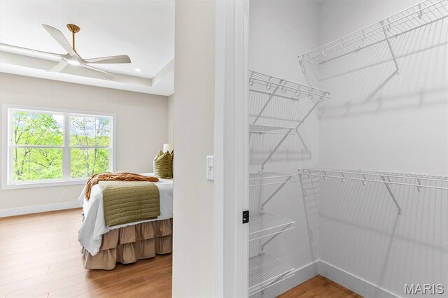 2217 Valleyview Dr, Barnhart, MO 63012 - spacious closet with ceiling fan and wood finished floors