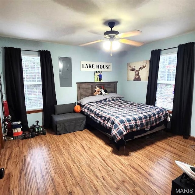 bedroom with electric panel, wood finished floors, and a ceiling fan